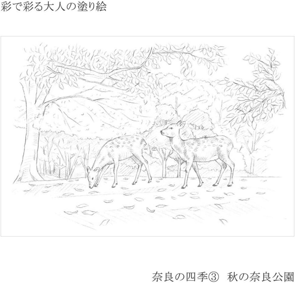 あかしや 彩で彩る大人の塗り絵 奈良の四季3(秋の奈良公園)