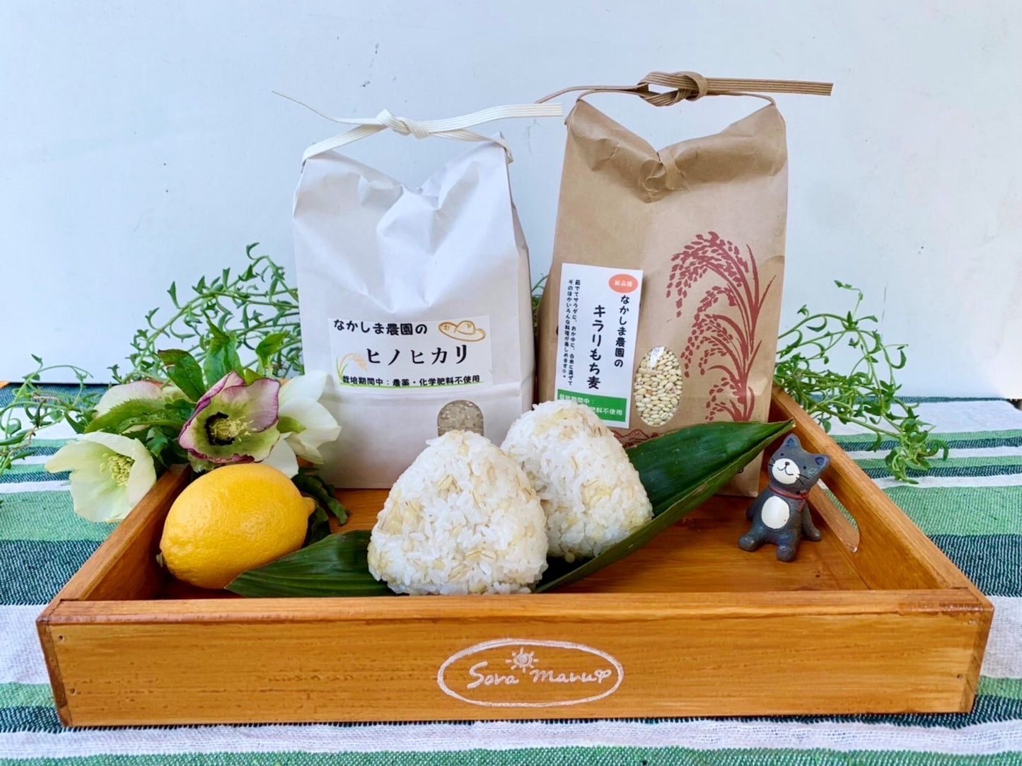 なかしま農園の【キラリもち麦】 熊本産、無農薬・化学肥料不使用、 産地直送 国産 (300g×2袋セット)