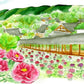 あかしや  彩で彩る大人の塗り絵　奈良の四季２（夏の長谷寺）