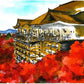 あかしや  彩で彩る大人の塗り絵　京都の四季３（秋の清水寺）