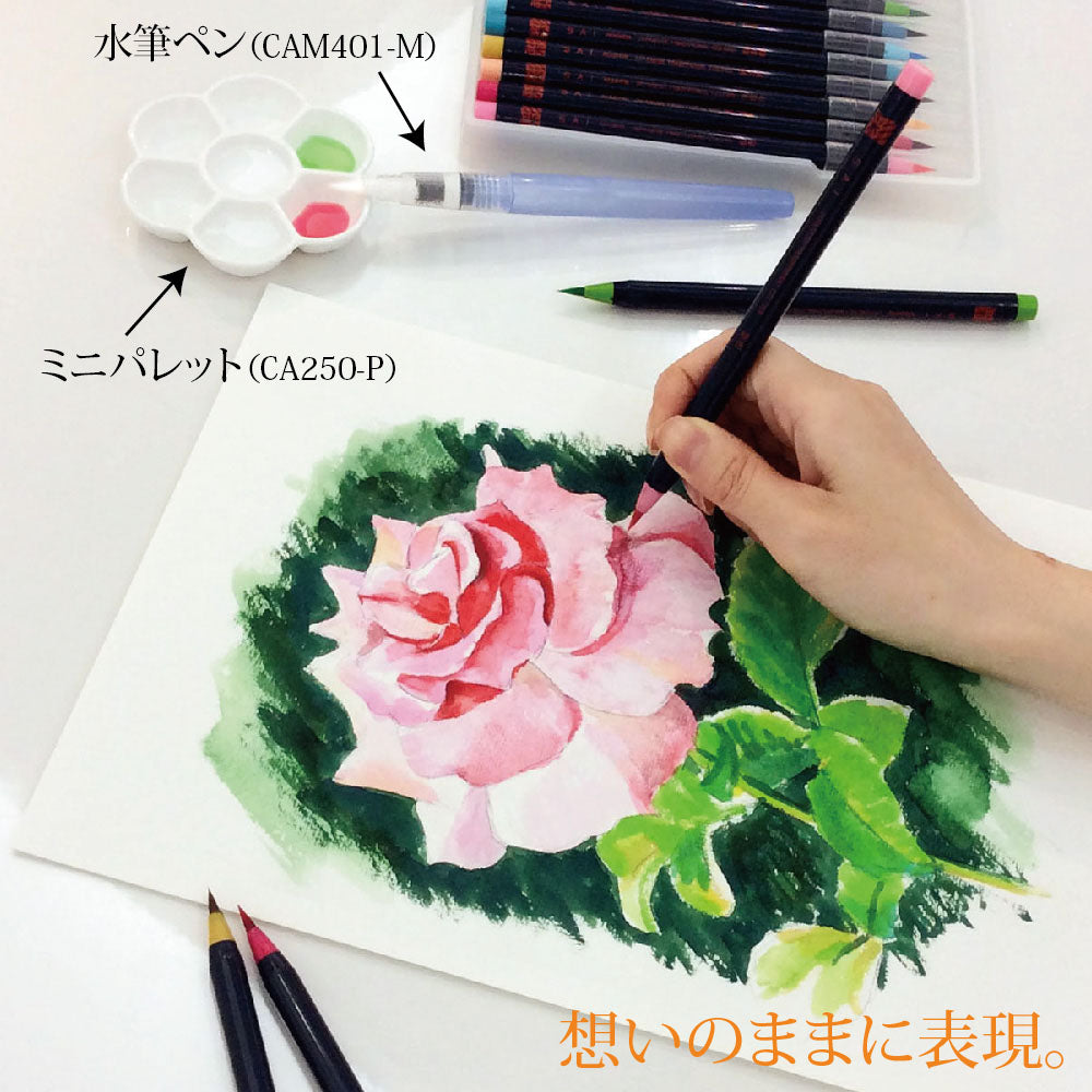 あかしや 水彩毛筆「彩」 冬を描く5色セット CA200/5VD